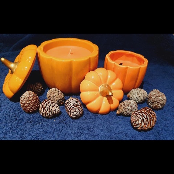 SOLD Spiced Pumpkin Rare Retired - Picture 4 of 4